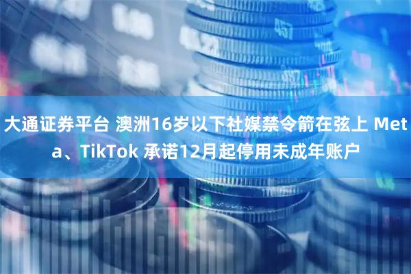 大通证券平台 澳洲16岁以下社媒禁令箭在弦上 Meta、TikTok 承诺12月起停用未成年账户