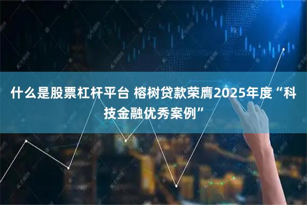 什么是股票杠杆平台 榕树贷款荣膺2025年度“科技金融优秀案例”