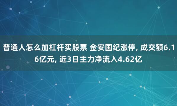 普通人怎么加杠杆买股票 金安国纪涨停, 成交额6.16亿元, 近3日主力净流入4.62亿
